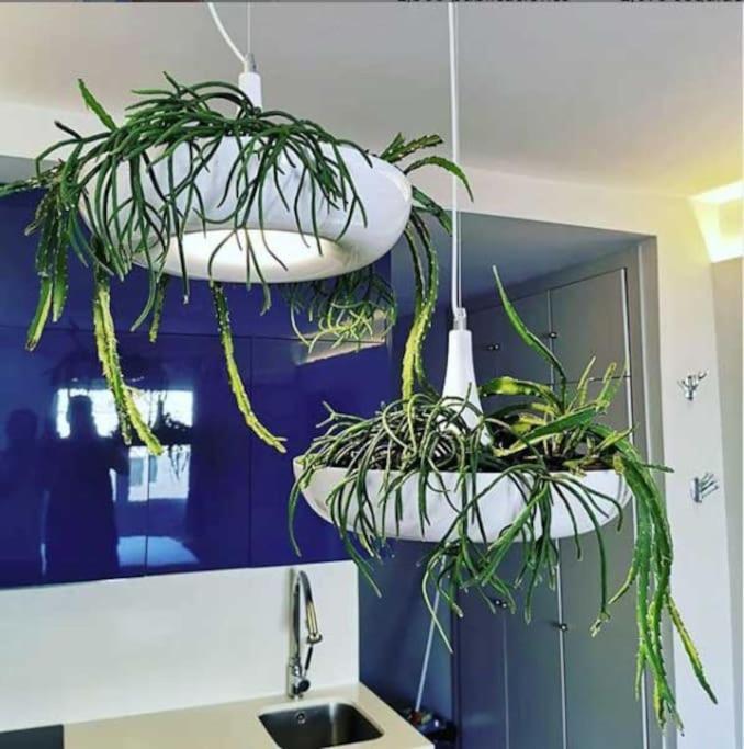 Apartamento Por Temporada Centro Diseno มาดริด ภายนอก รูปภาพ
